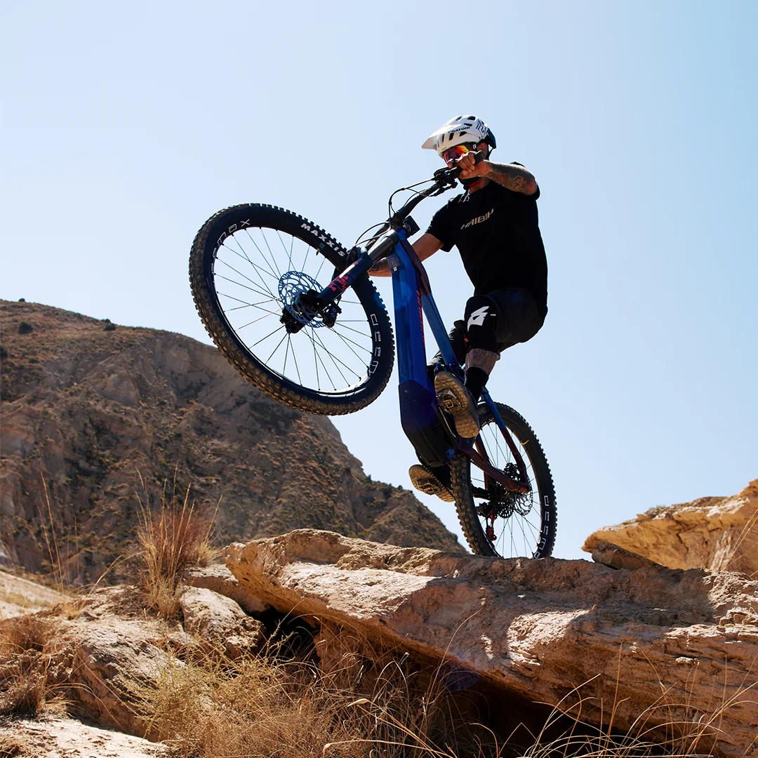 Fully Mountainbike online kaufen | e-bike.de
